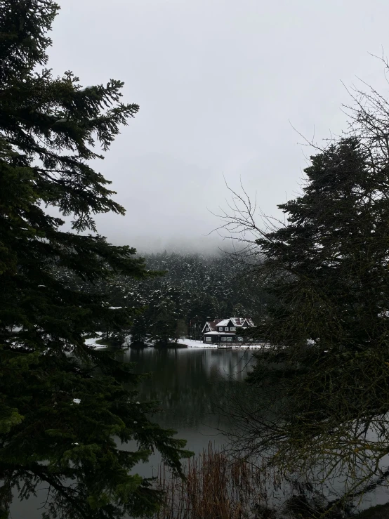 a river in the distance near many trees