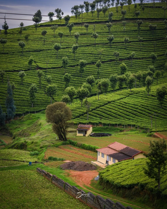 houses on the hillside with the green hills behind them