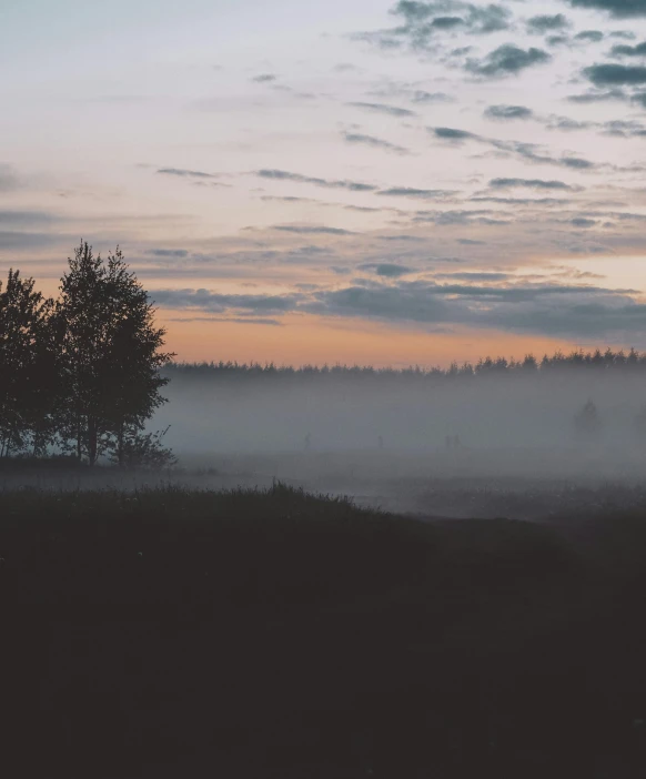 a silhouette of a lone tree stands on an open meadow at sunrise