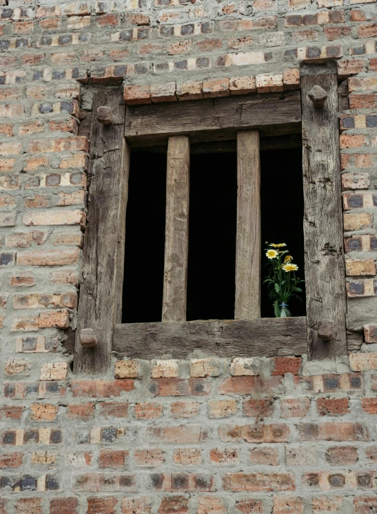 flowers on an old window sill beside the window of a building