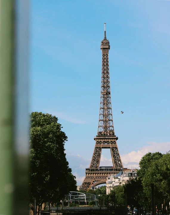 the eiffel tower towering over many trees