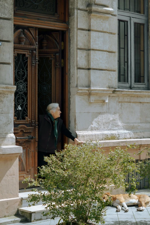 an old man holding his hand out from a door to a dog outside