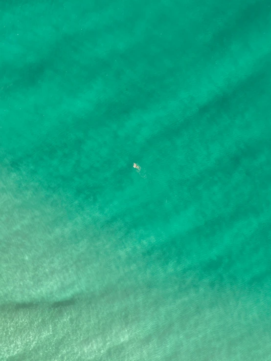 a po taken from a boat looking at green water