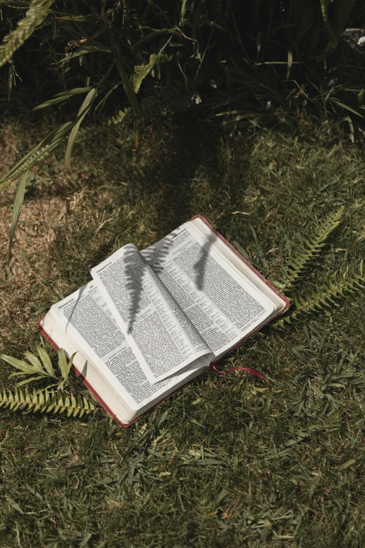 an open book sitting on top of a lush green field