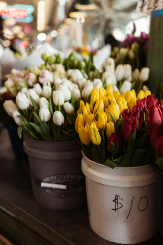 a table filled with pots of colorful tulips