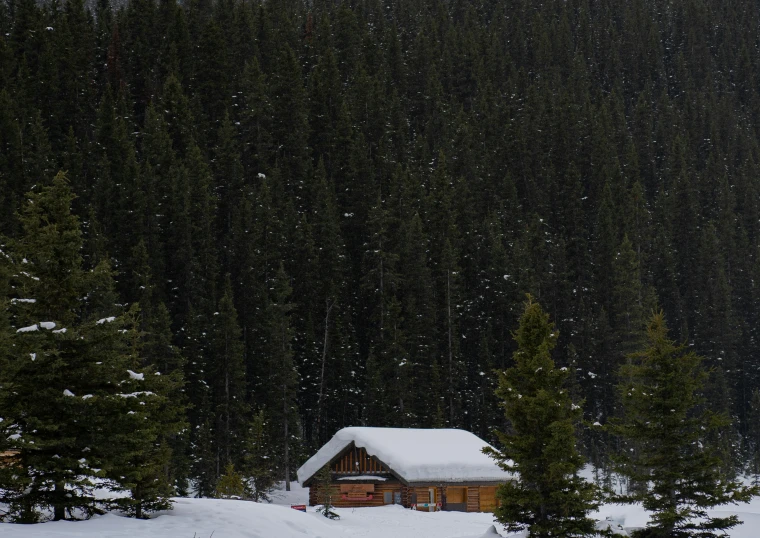 a cabin in the forest is covered with snow