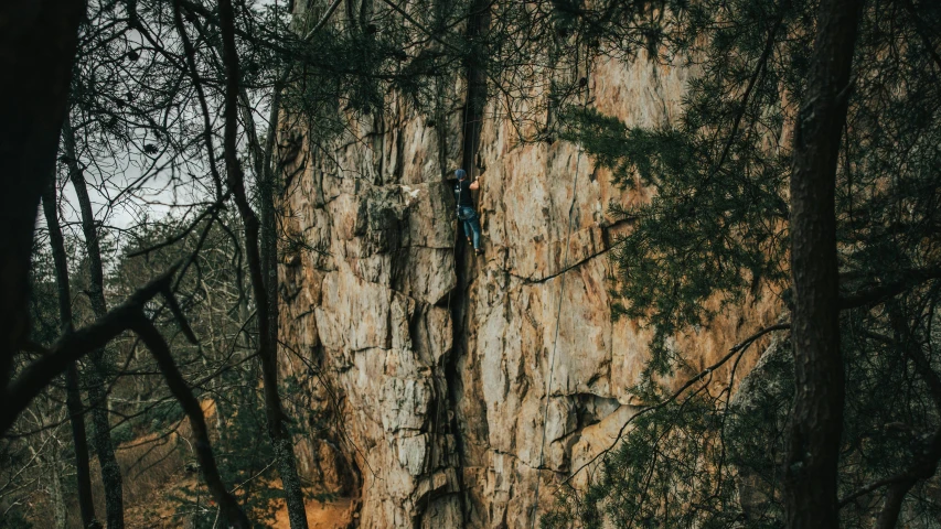 a couple of people on a rope above some trees