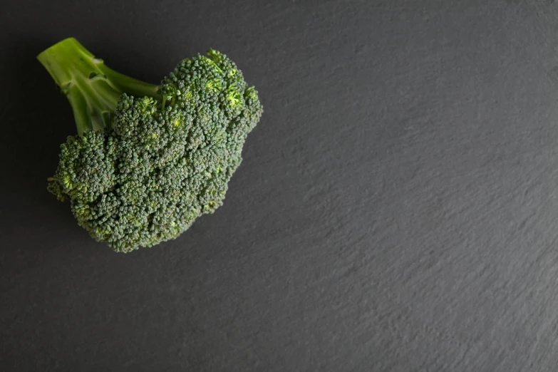 there is a piece of broccoli on a table