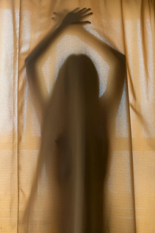 a person standing behind a curtain with their shadow