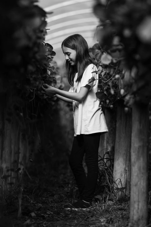 girl standing in front of rows of trees while holding her phone