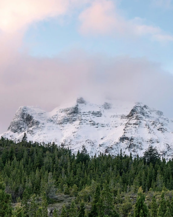 a view of snow covered mountains with pine trees below