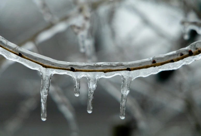 a long thin snow covered nch with water drops on it