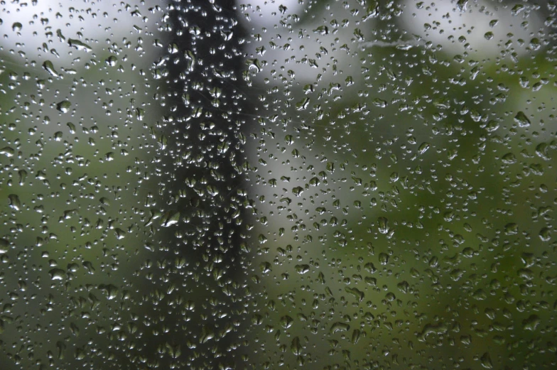 rain drops on glass, with blurry trees in background