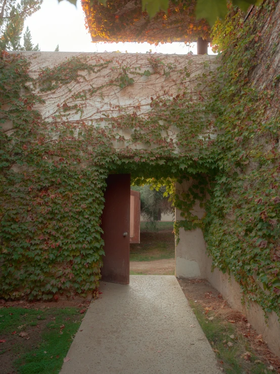 the entrance to a garden with climbing plants