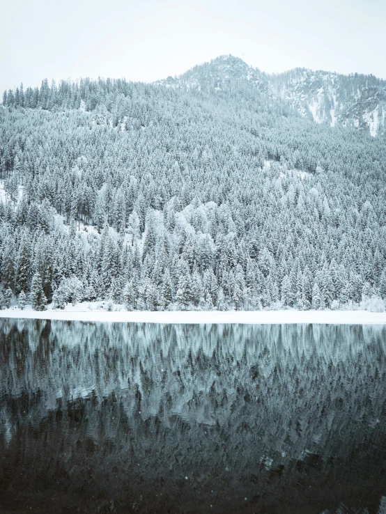 the reflection of a large forested mountain on water