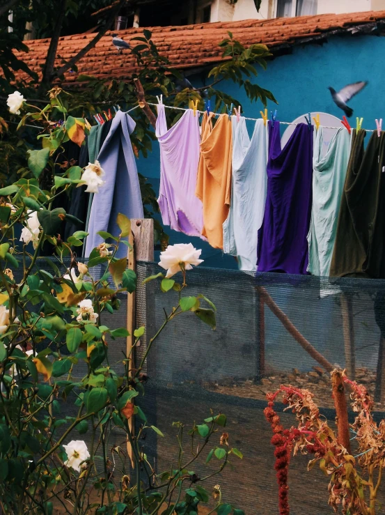 the clothes are hung from the line outside, and birds fly above