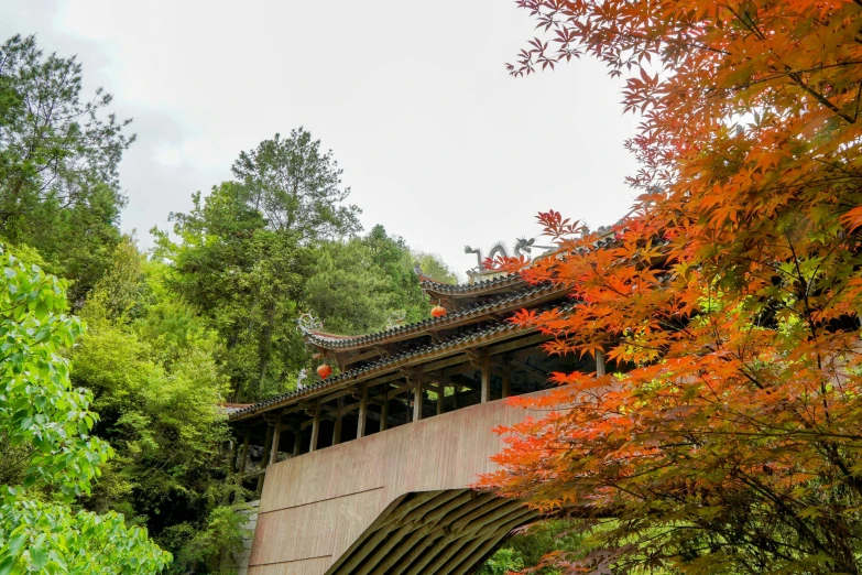 an autumn scene of the pagodas and trees with colorful leaves on them