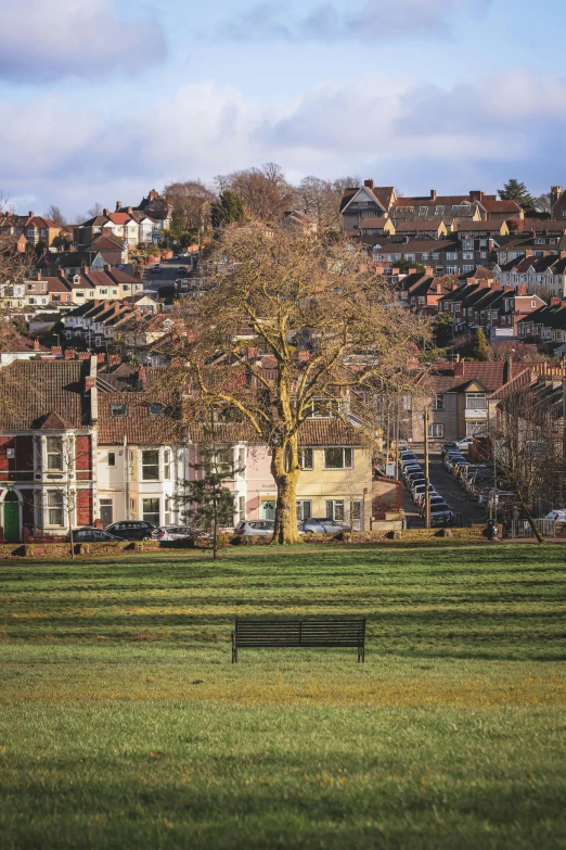 a bench that is sitting in the grass