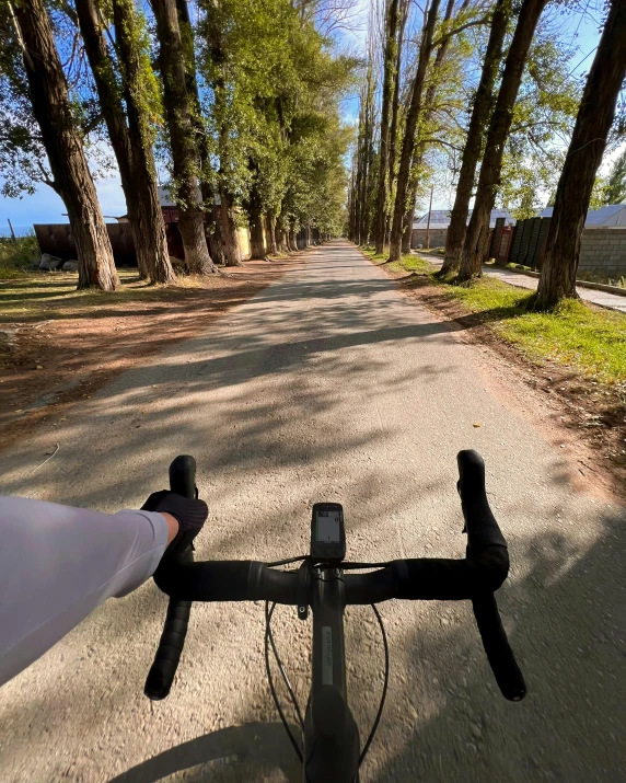 the view from behind a bicycle in front of trees