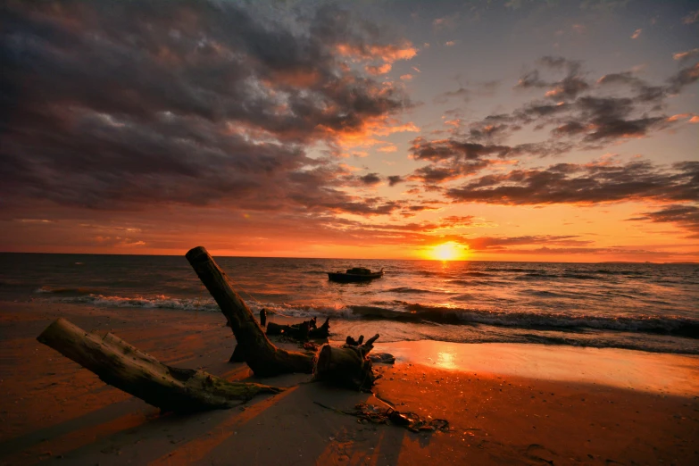 there is a driftwood on the beach near the ocean