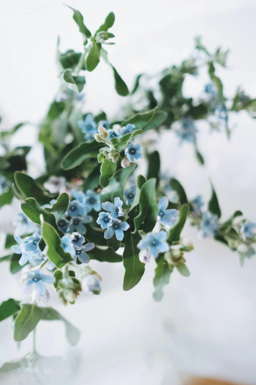 some pretty flowers are in a clear vase