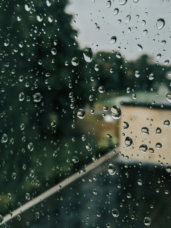 rain drops on the glass of a window