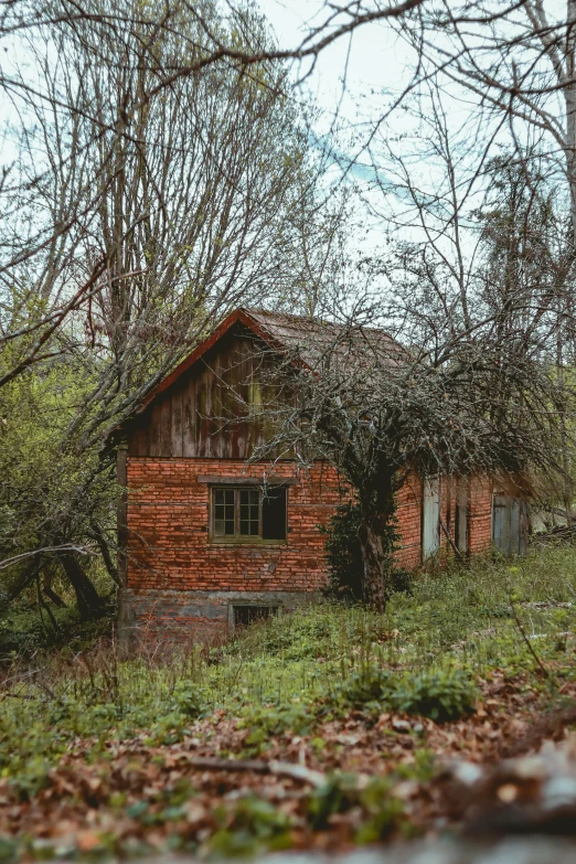 an abandoned red brick house in the woods