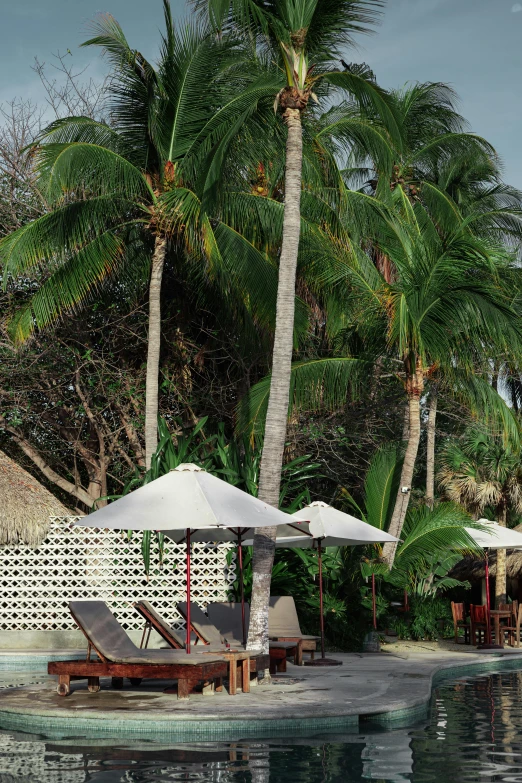 lounge chairs under umbrellas at the edge of a swimming pool