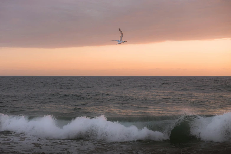 the view from a beach with seagulls flying in the air