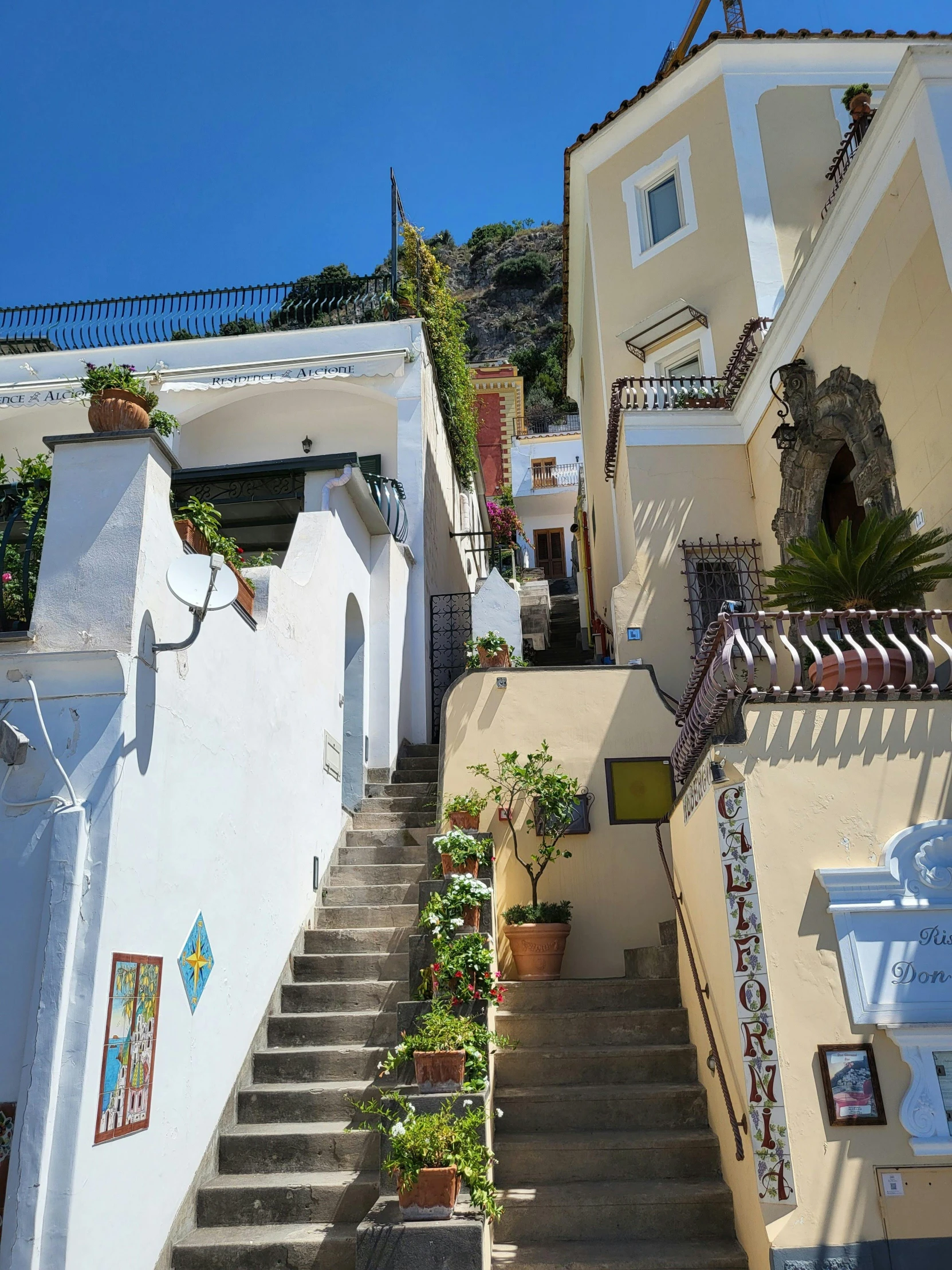 there are lots of plants growing up and down this stairs