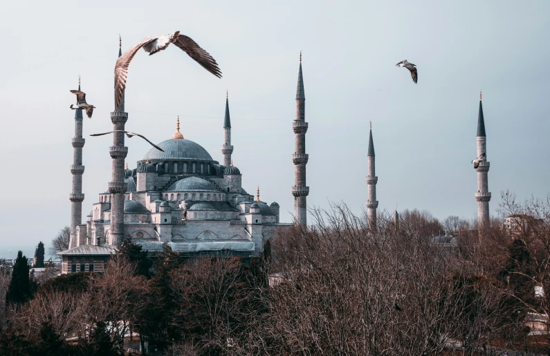 a picture taken from behind some tall building with birds flying over it