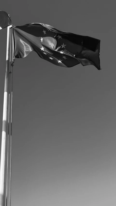 black and white image of the flag of new zealand