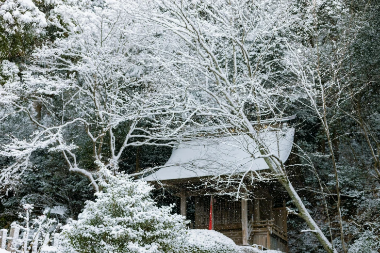 a cabin with snowy trees in the back ground