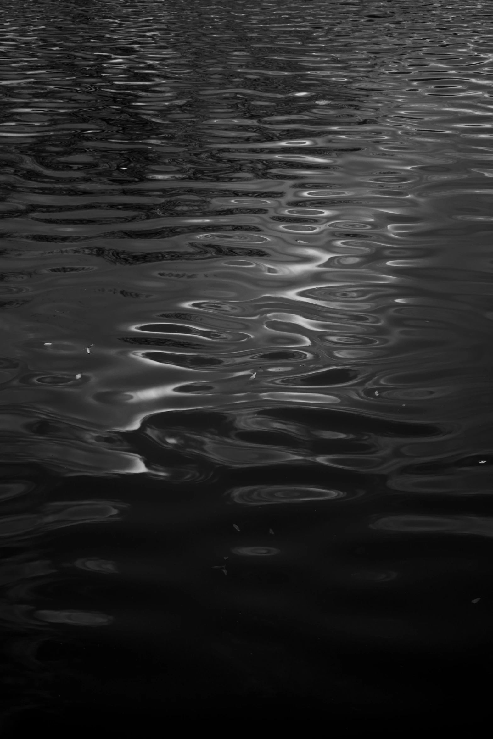 the boat is traveling along in a dark setting