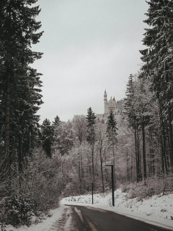 a snow covered road with trees on both sides