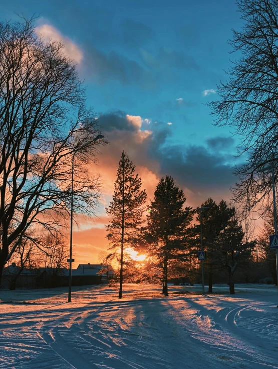 a winter sunset with snow and trees in the foreground