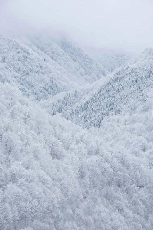 a snow covered mountain with fog and mist in the sky