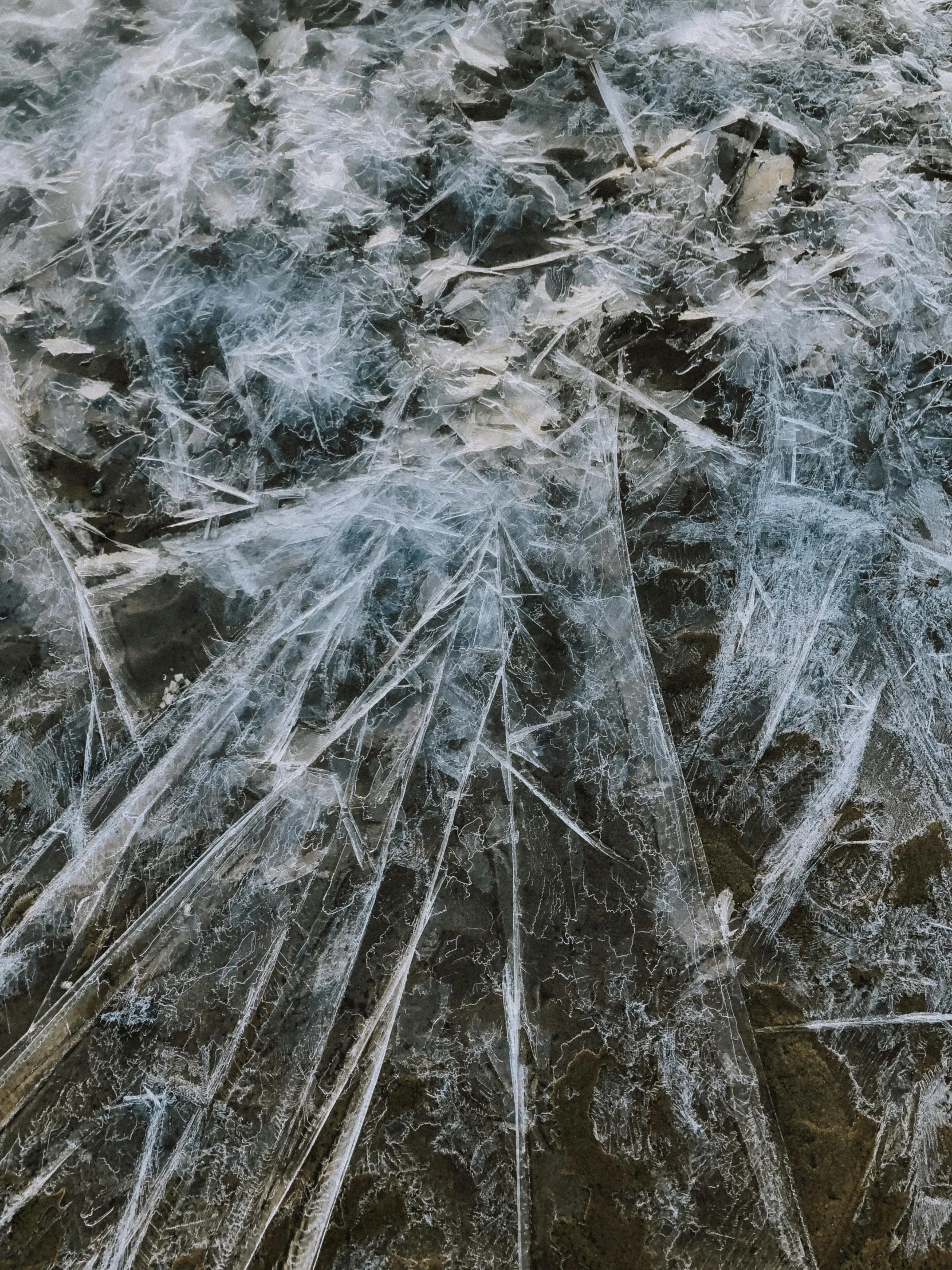 this area is covered with ice and has lots of frozen grass