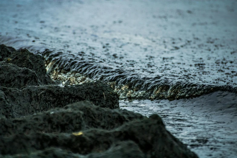 a close up of rocks next to the ocean