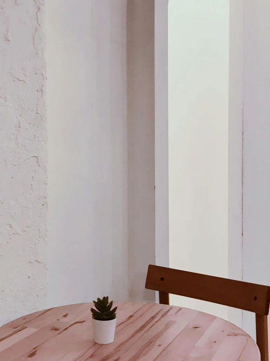 a table with a potted plant on it, in front of a white wall