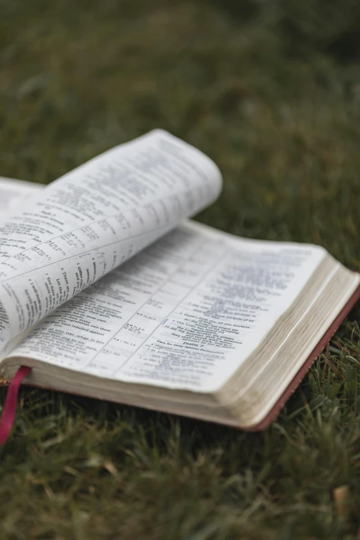 an open bible laying on the ground with a red ribbon