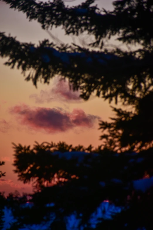 a red, yellow and black sky with trees and clouds