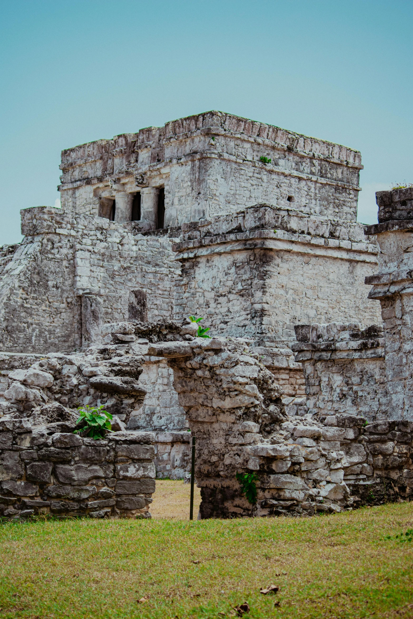 an old ruins with trees growing out of them