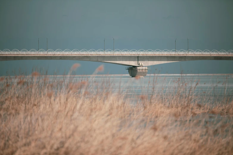 a airplane flying over a bridge and a large body of water