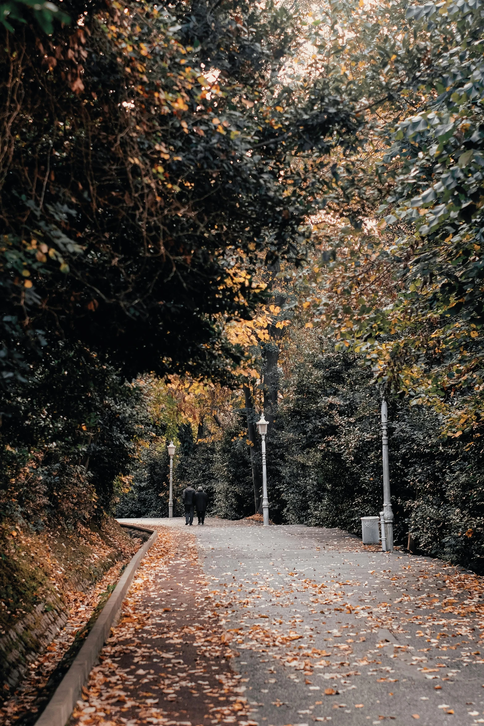 a road with lots of leaves on it