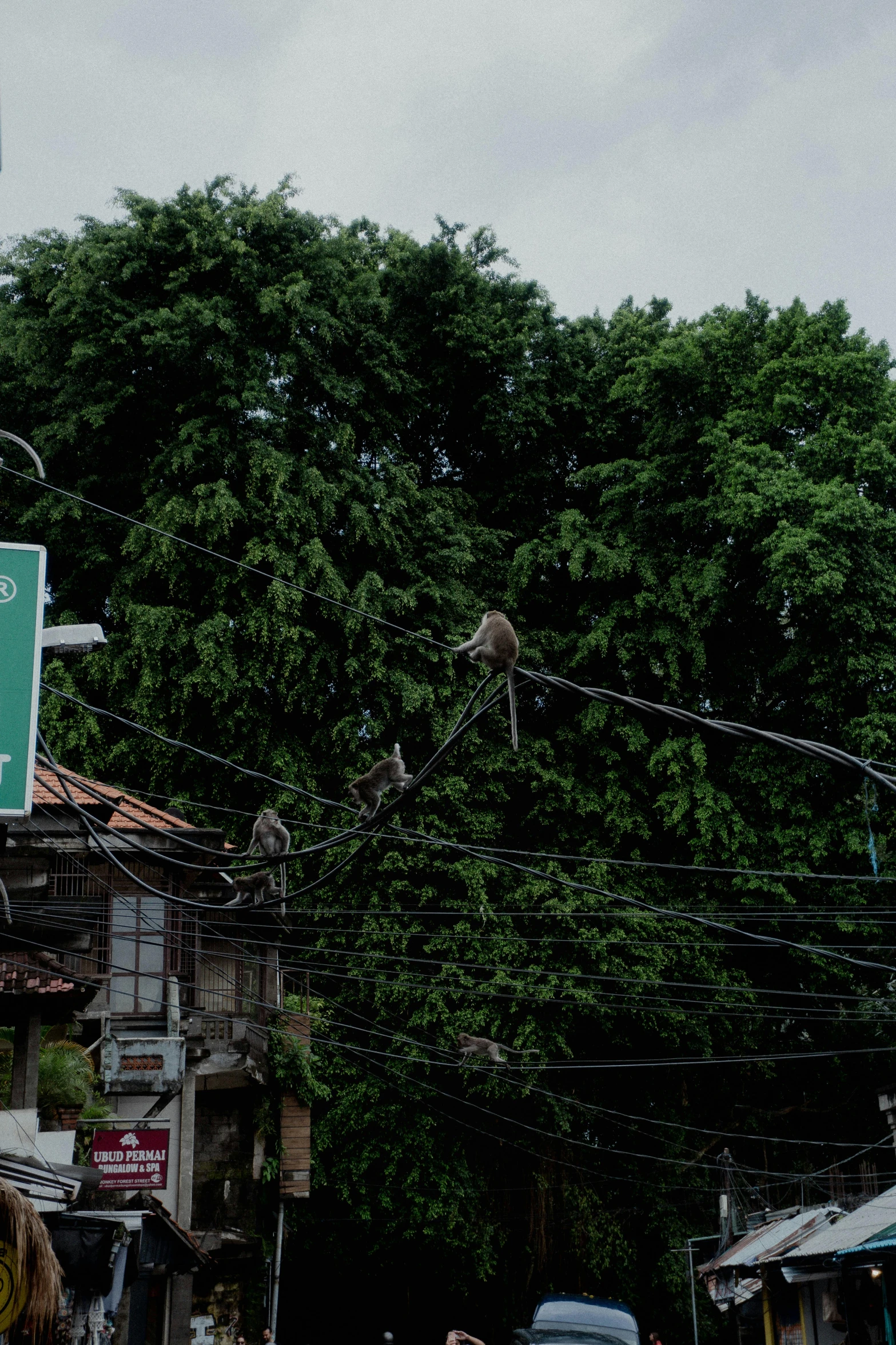 a street sign and some people on it