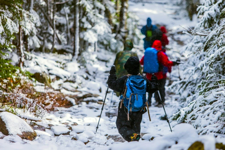 a bunch of people walking down a snow covered road