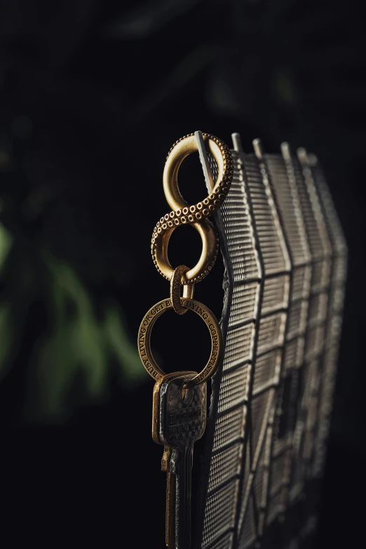 two keys hanging from an ornate key holder