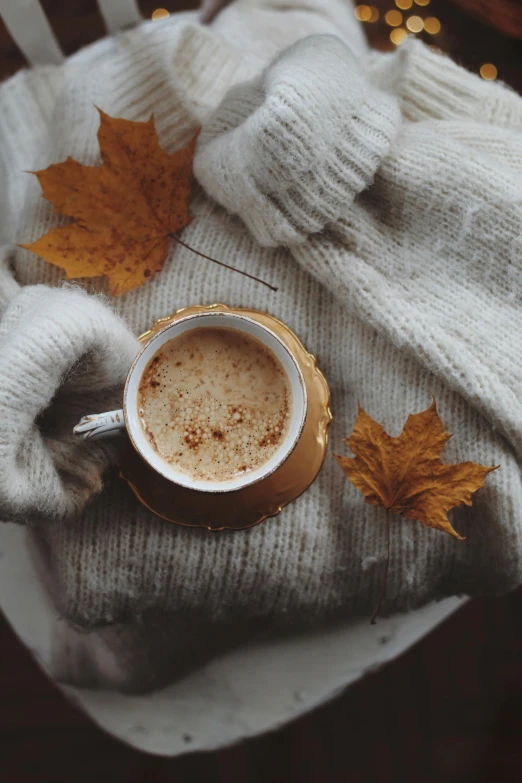 a cup of  chocolate sits on a saucer surrounded by knits