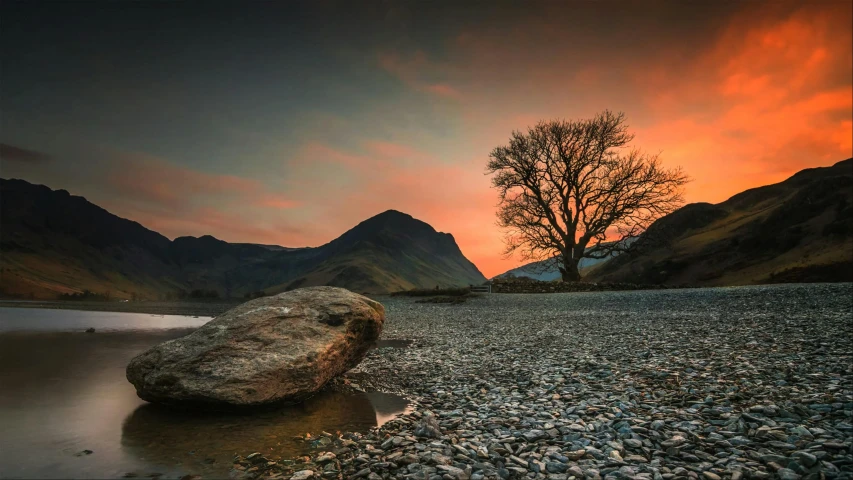 rock in the water with a large tree on the other side